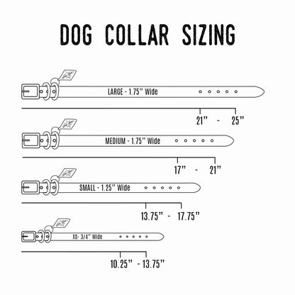 Leather Dog Collar - Designer