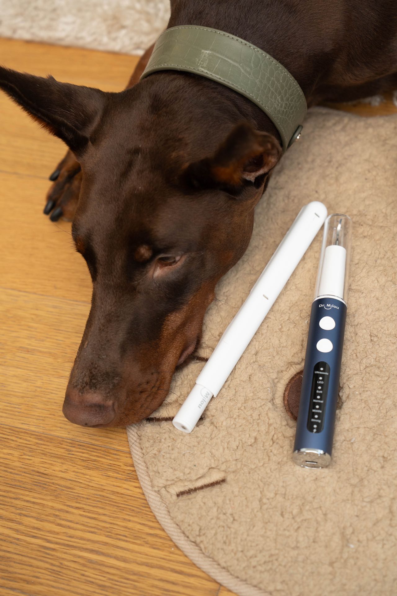 Anesthesia-Free Pet Dental Cleaning Kit: Professional Ultrasonic Tartar Remover & Electric Toothbrush for Dogs & Cats by Dr. Milou®