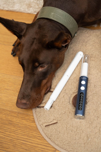 Anesthesia-Free Pet Dental Cleaning Kit: Professional Ultrasonic Tartar Remover & Electric Toothbrush for Dogs & Cats by Dr. Milou®