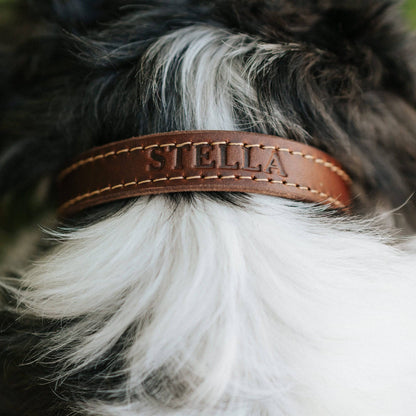 Leather Dog Collar - Designer