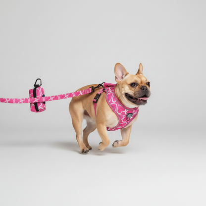 3-Piece Dog Harness & Leash Set