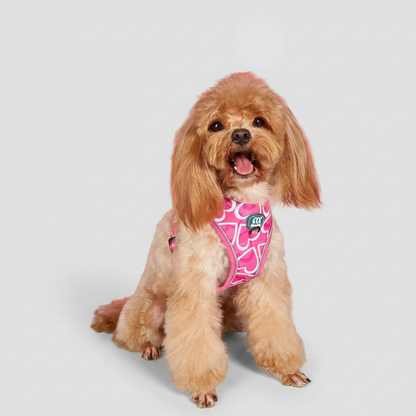 3-Piece Dog Harness & Leash Set