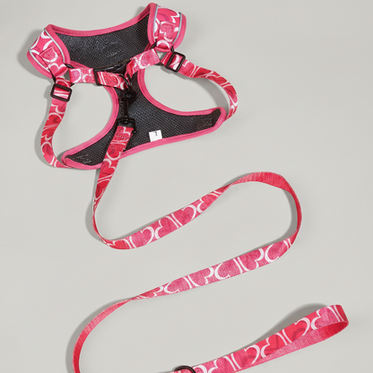 3-Piece Dog Harness & Leash Set