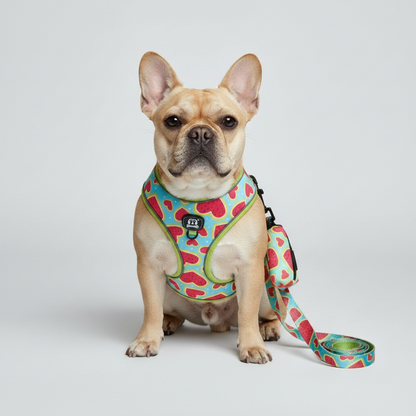 3-Piece Dog Harness & Leash Set