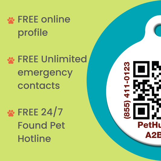 QR Pet Identification: Travel Crate Card