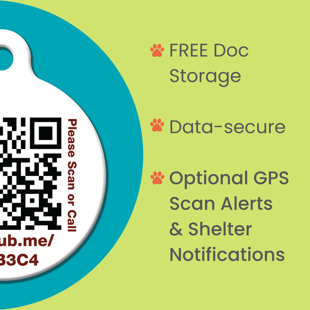 QR Pet Identification: Travel Crate Card