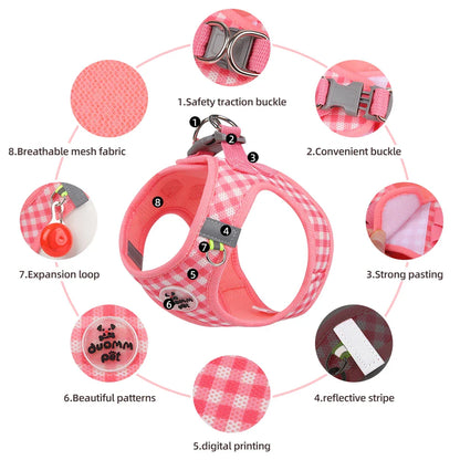 Stylish Checkered Cat Harness and Leash Set for Safe Adventures