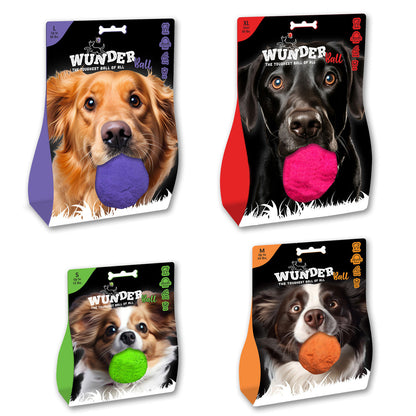 WUNDERball - Best Fetch Toy