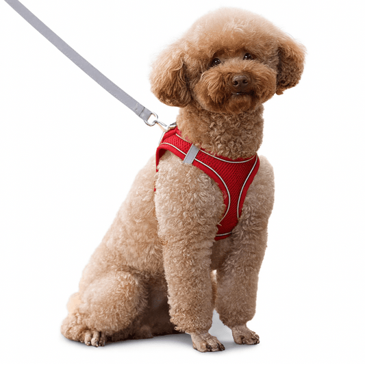 Adjustable Reflective Puppy Harness and Leash Set – Soft Breathable Vest for Small Dogs and Cats