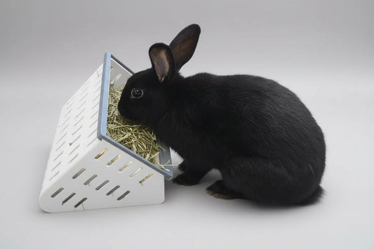 Open Air Hay Feeder
