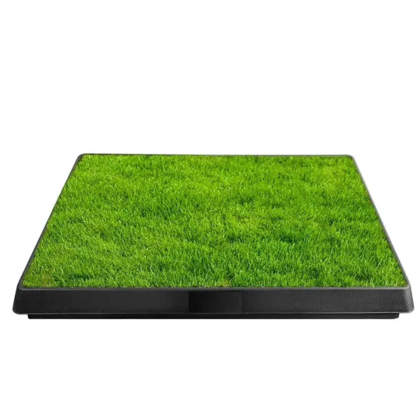 Dog Potty Grass Mat Indoor Puppy Training Pad 25x20