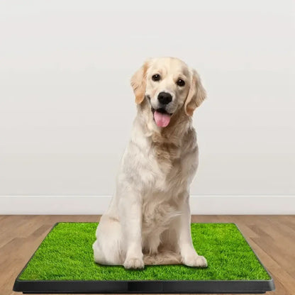 Dog Potty Grass Mat Indoor Puppy Training Pad 25x20