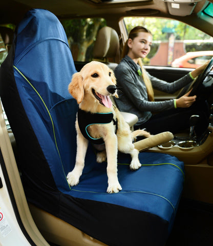 Pet Life ® 'Open Road' Single Seated Safety Child Pet Cat Dog Car Seat Carseat Cover Protector